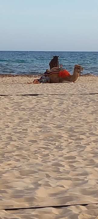 Strand Hotel Paradis Palace