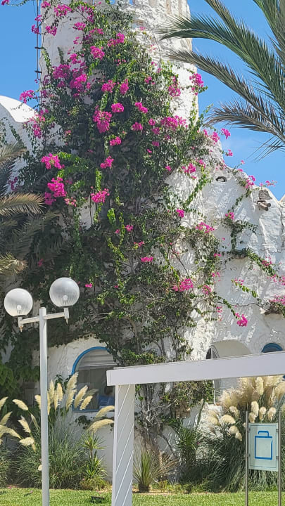 Außenansicht ROBINSON DJERBA BAHIYA