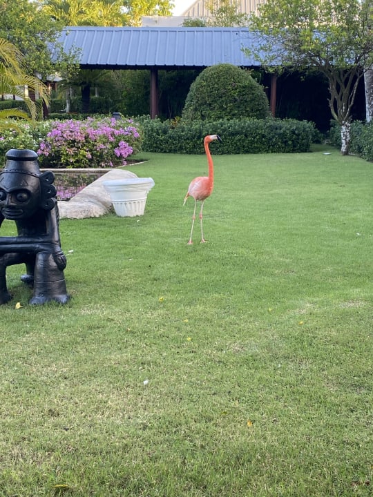 Gartenanlage Secrets La Romana Resort & Spa - Adult Only