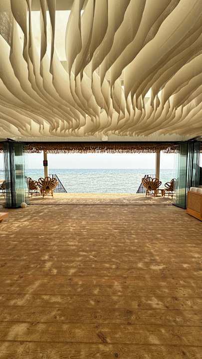 Sonstiges Desert Rose