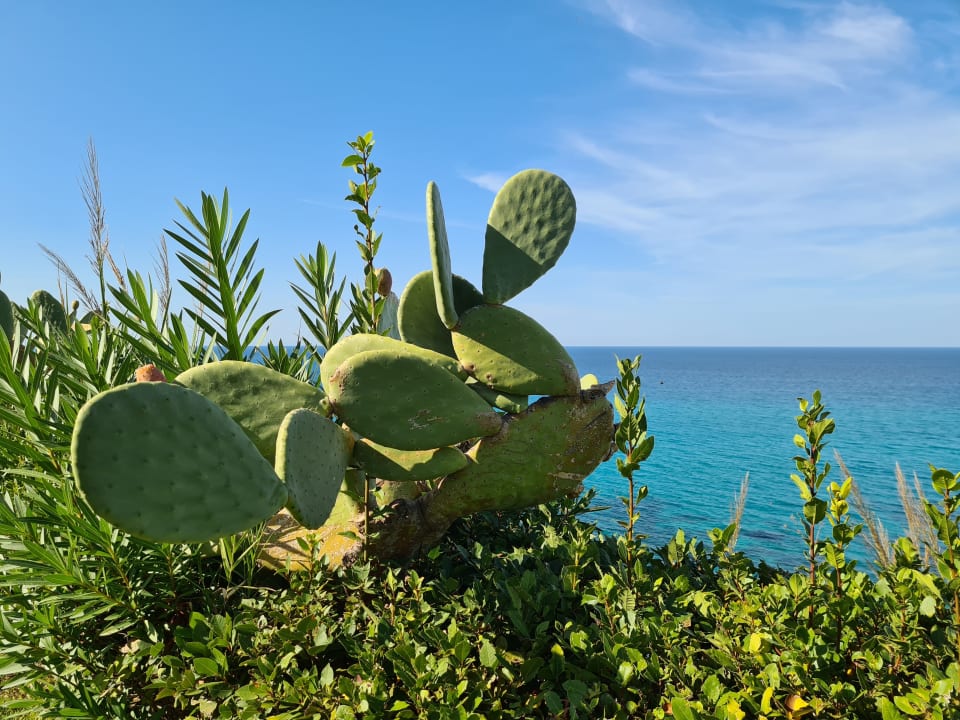 Ausblick Aldiana Club Rocca Nettuno Calabria
