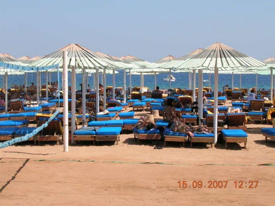 Blick auf den Strand Ghazala Beach