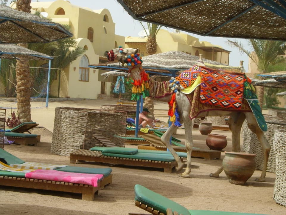 Spielplatz am Strand Three Corners Rihana Resort Deluxe