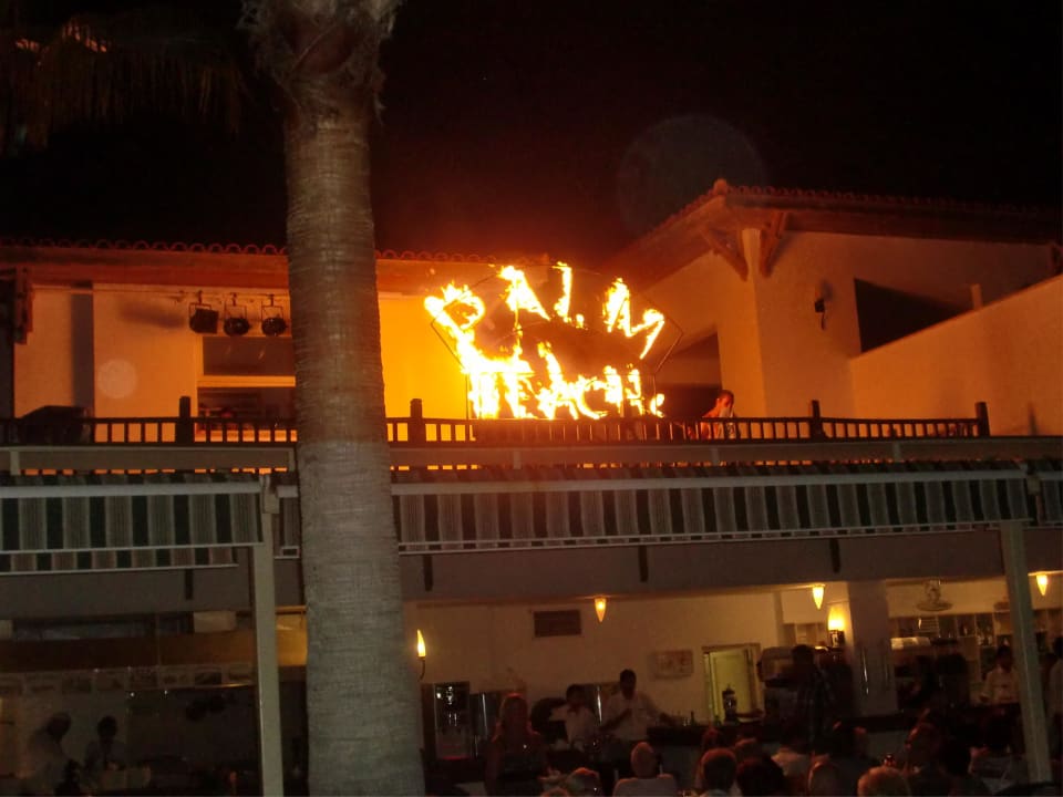 Gala-Abend Trendy Palm Beach (Adults Only, 16+)