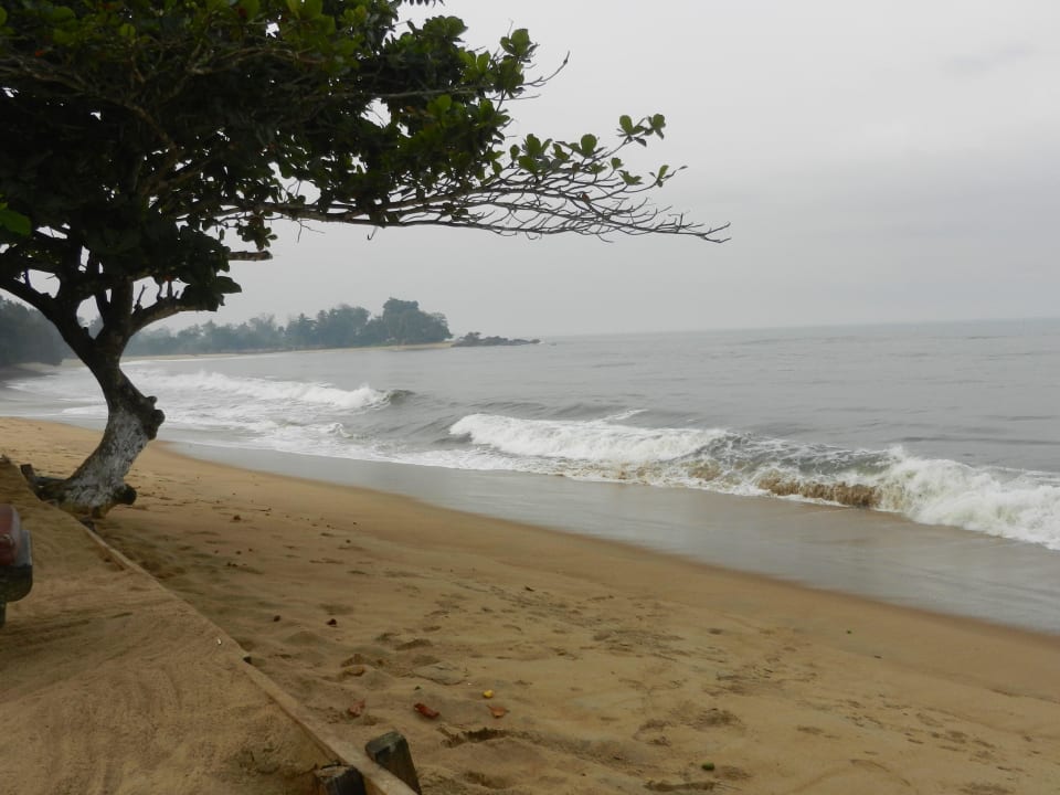 Plage face au restaurant Hotel Tara Plage