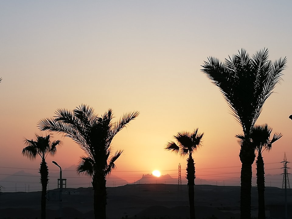 Ausblick Pickalbatros Palace Resort