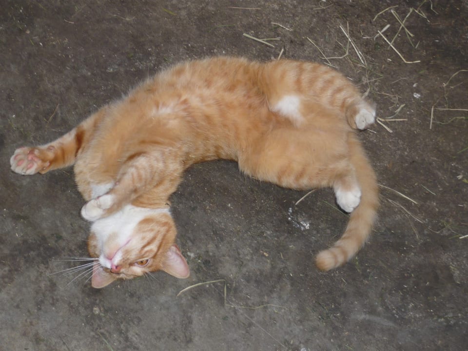 Sport & Freizeit Gästehaus Trinkergut