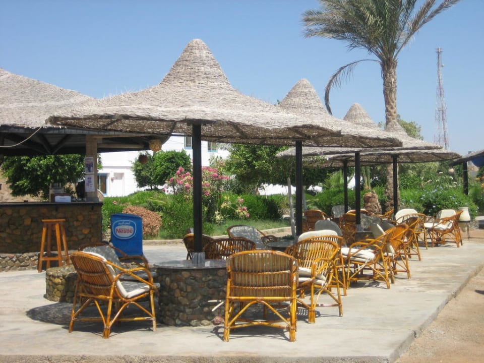Beach Bar Hotel Coral Garden