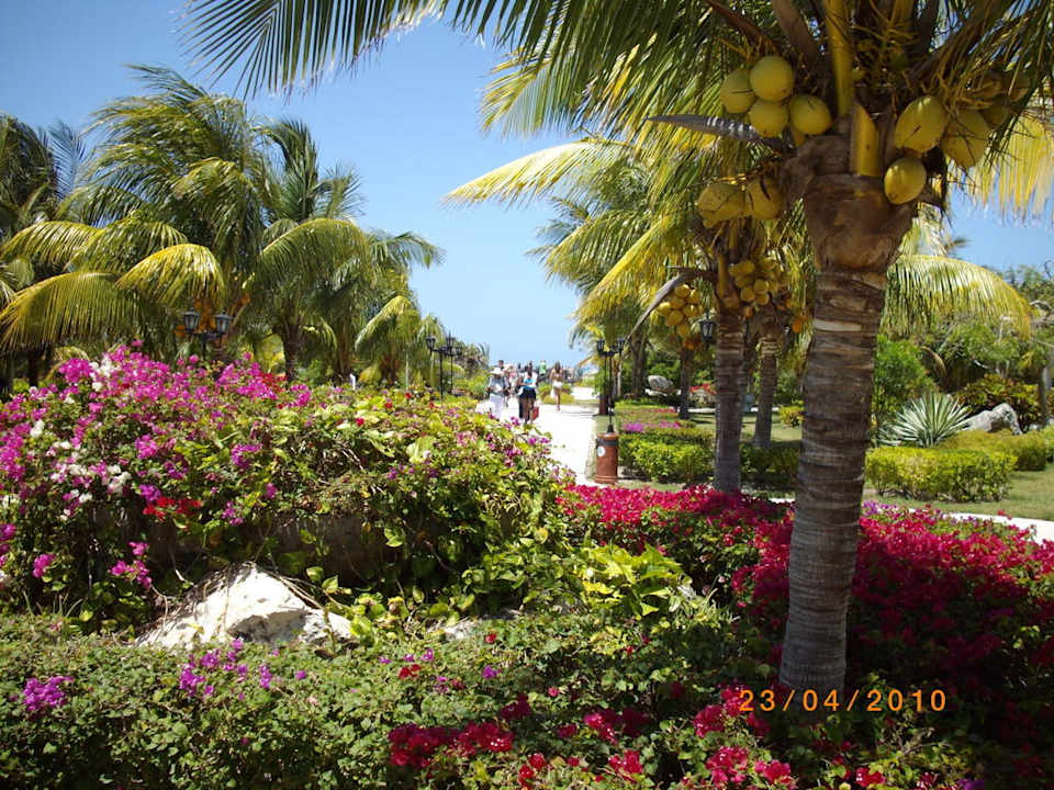 Boulevard Richtung Strand Melia Las Dunas