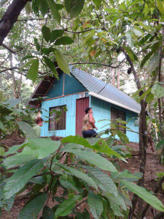 Bungalow Morphy, Aussen Bungalows Cacao Monkeys