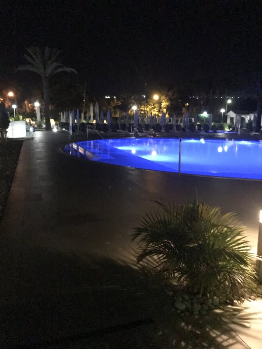 Pool Canary Garden Club