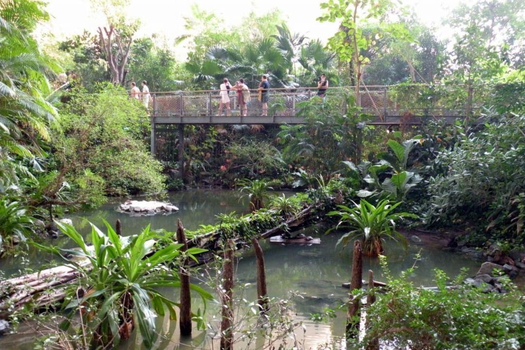 Im Tropenwald Tropical Islands Resort