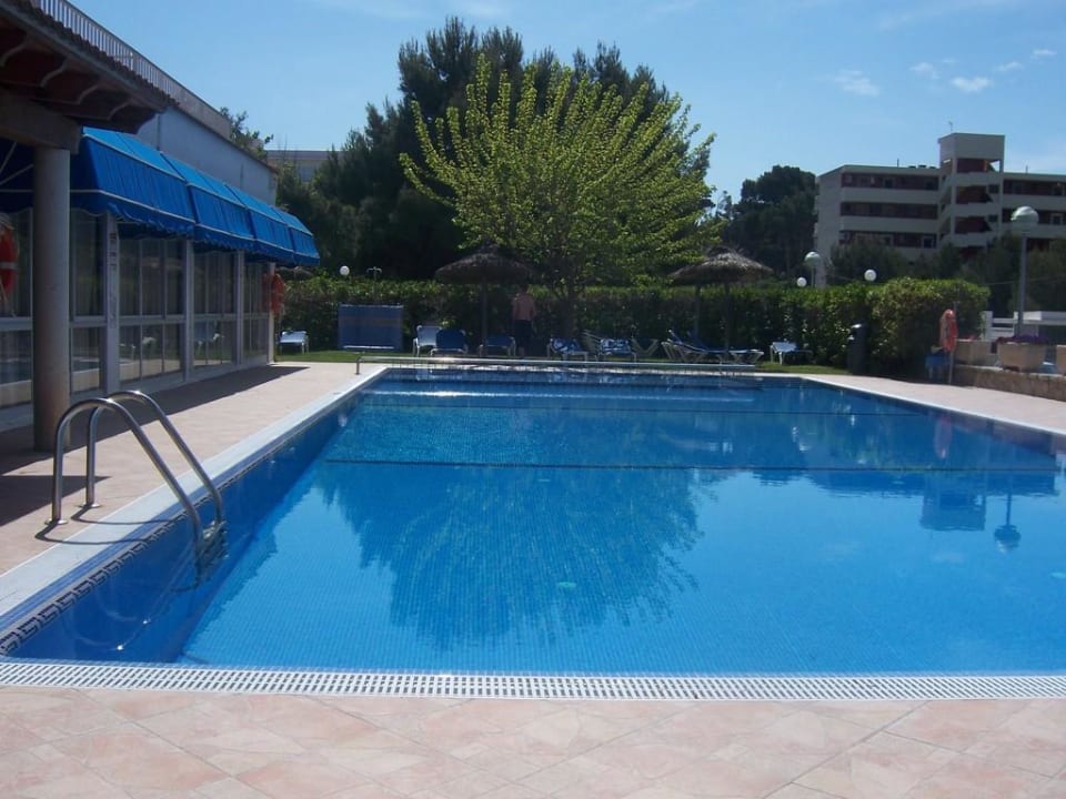 Pool im Boreal Hotel Boreal