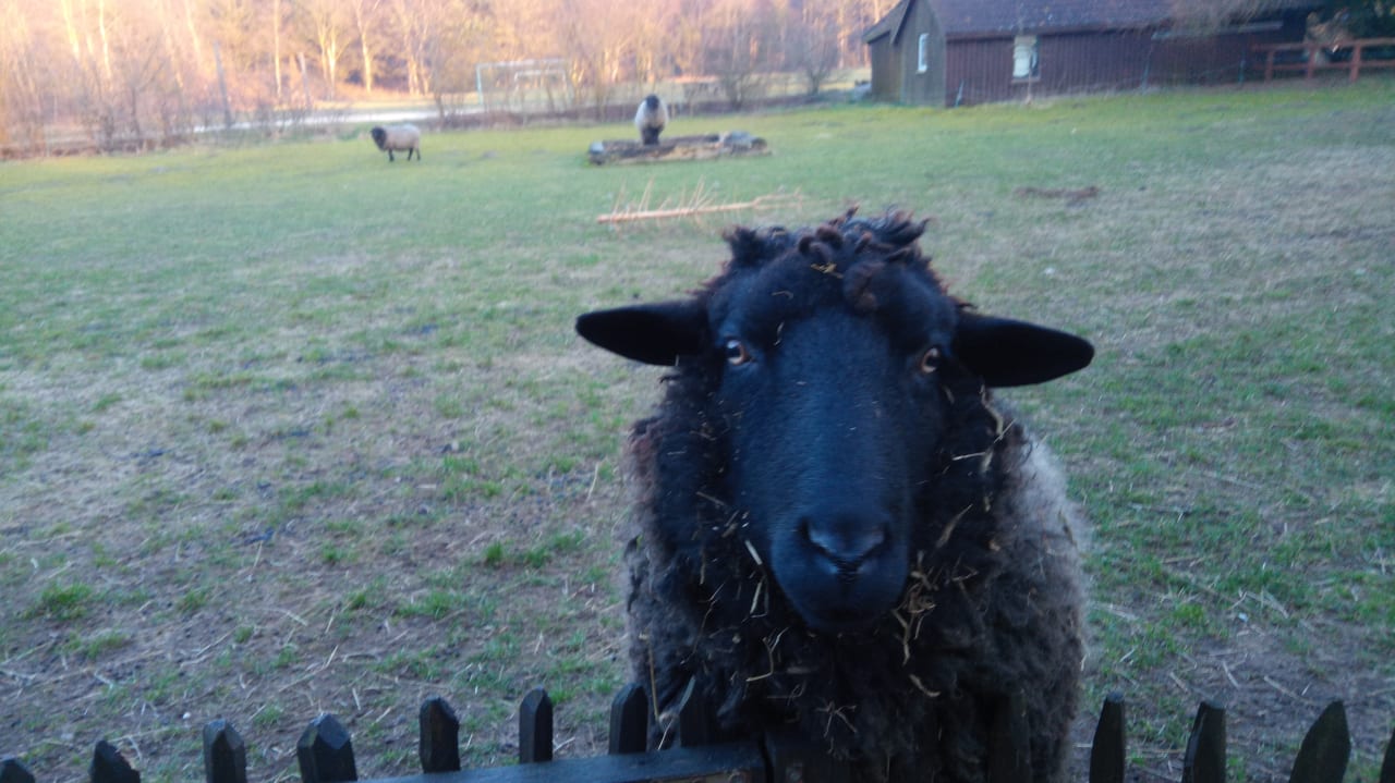 Ausblick Apartment Hockmannshof