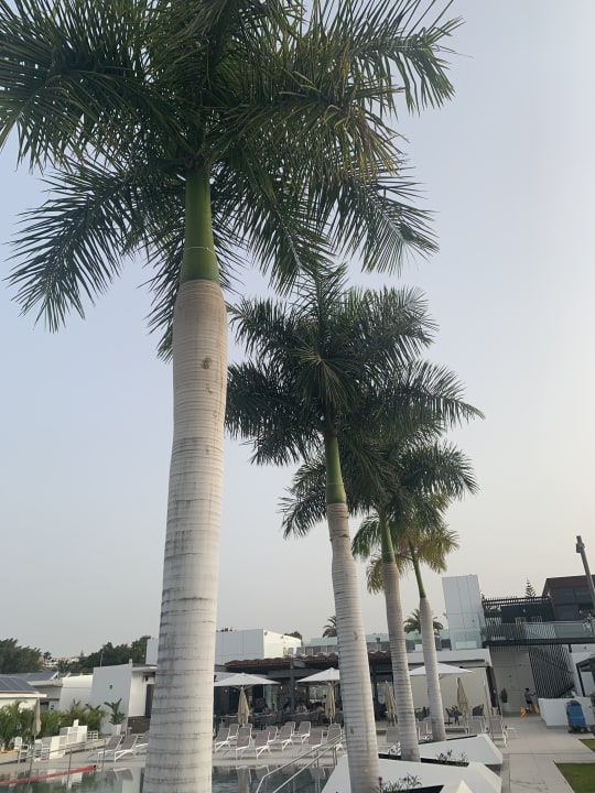 Pool Club Maspalomas Suites & SPA