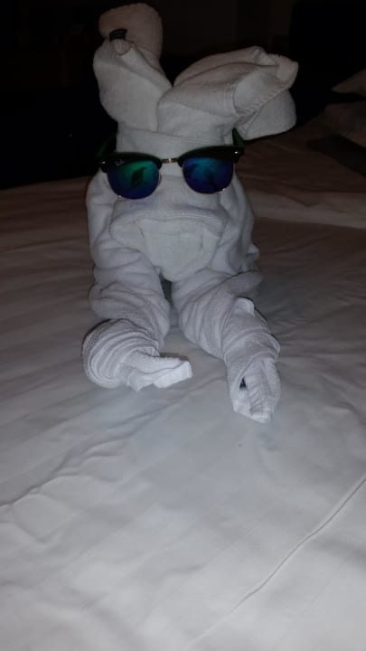 Jeden tag eine Überraschung der Putzfrau  HVD Viva Club Hotel