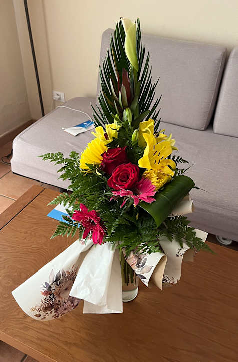 Zimmer Sotavento Beach Club