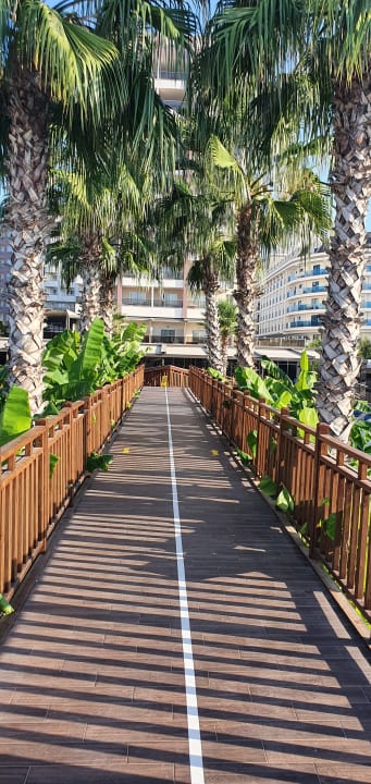 Ausblick Saturn Palace Resort Hotel