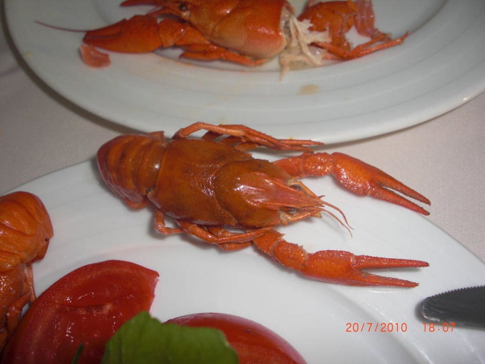 Flusskrebs Saturn Palace Resort Hotel