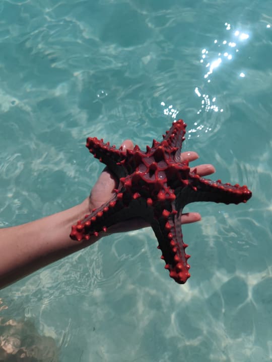 Strand Hotel Riu Jambo