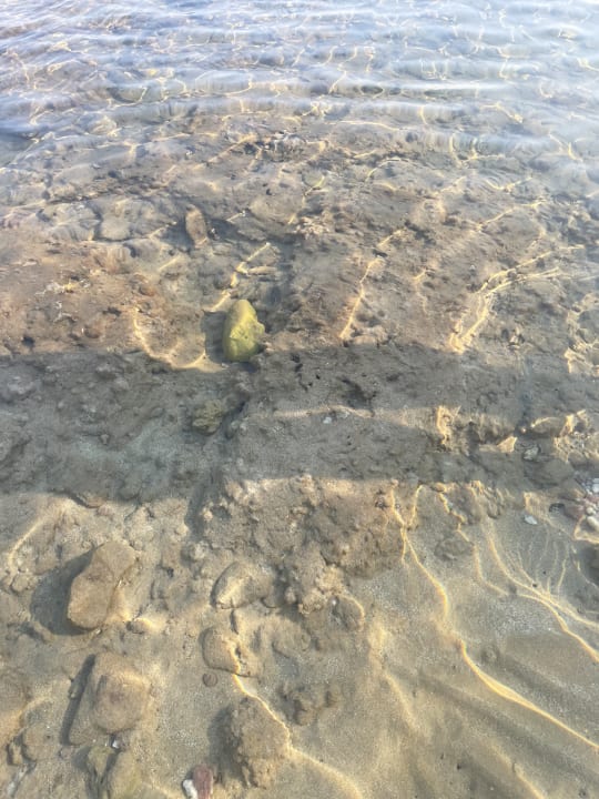Strand Calimera Sirens Beach