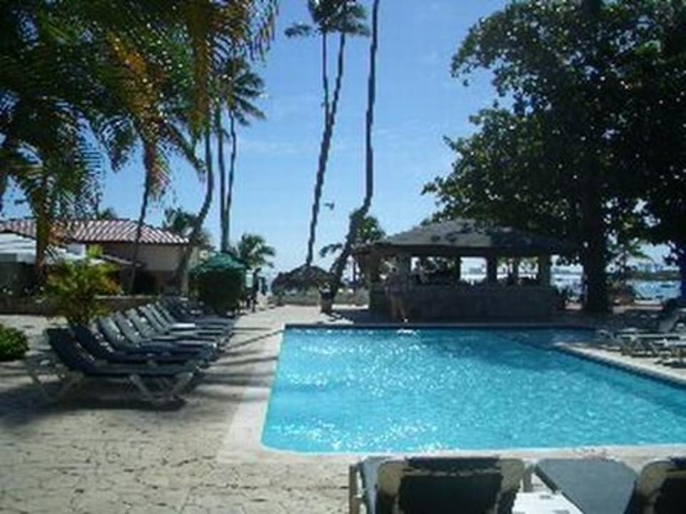 Pool whala!boca chica