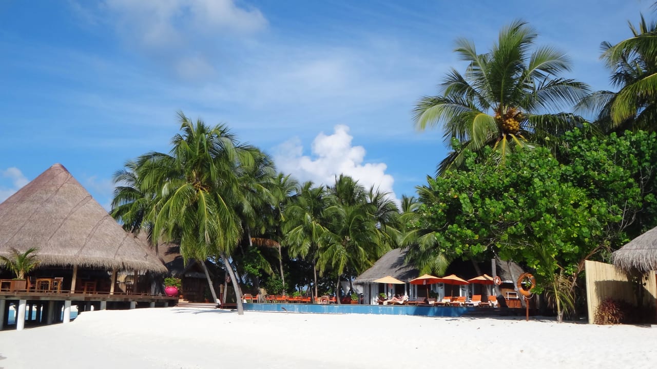 Strand mit Poolanlage Sun Siyam Vilu Reef