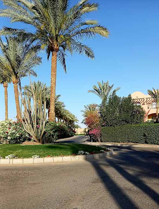 Gartenanlage Jaz Makadi Oasis Resort