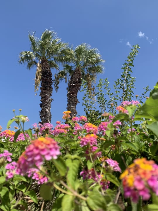 Gartenanlage Smy Kos Beach & Splash