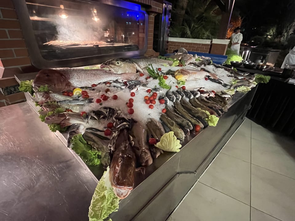 Gastro ROBINSON NOBILIS