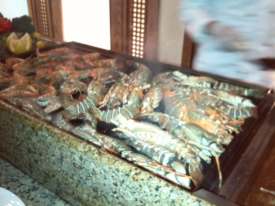 Lecker Ghazala Gardens