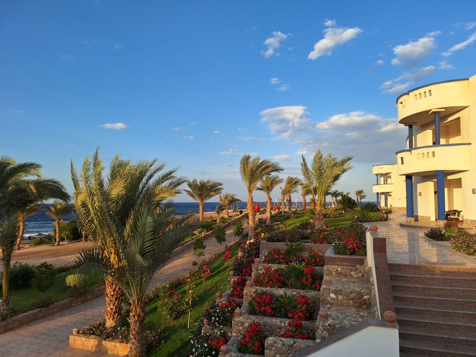 Gartenanlage Coral Sun Beach