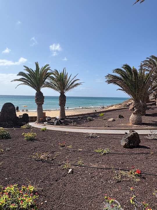Strand Sotavento Beach Club