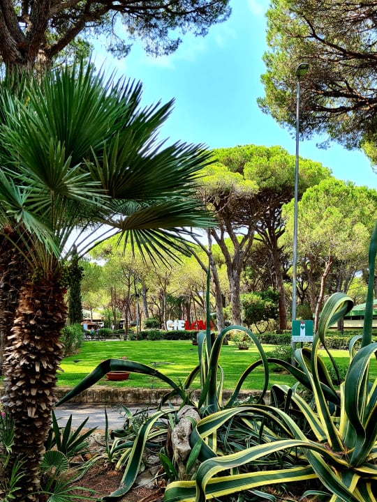 Gartenanlage Villaggio Camping Cieloverde