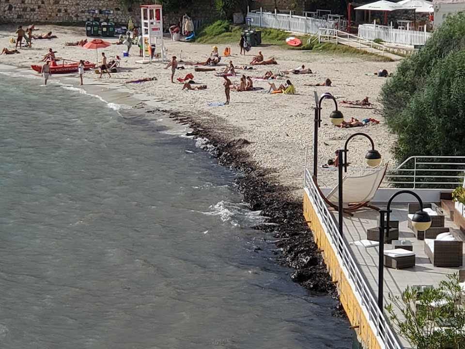 Ausblick Hotel Calamosca