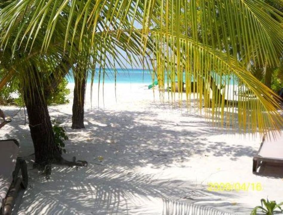 Unser Ausblick von der Terrasse Kuredu Island Resort & Spa