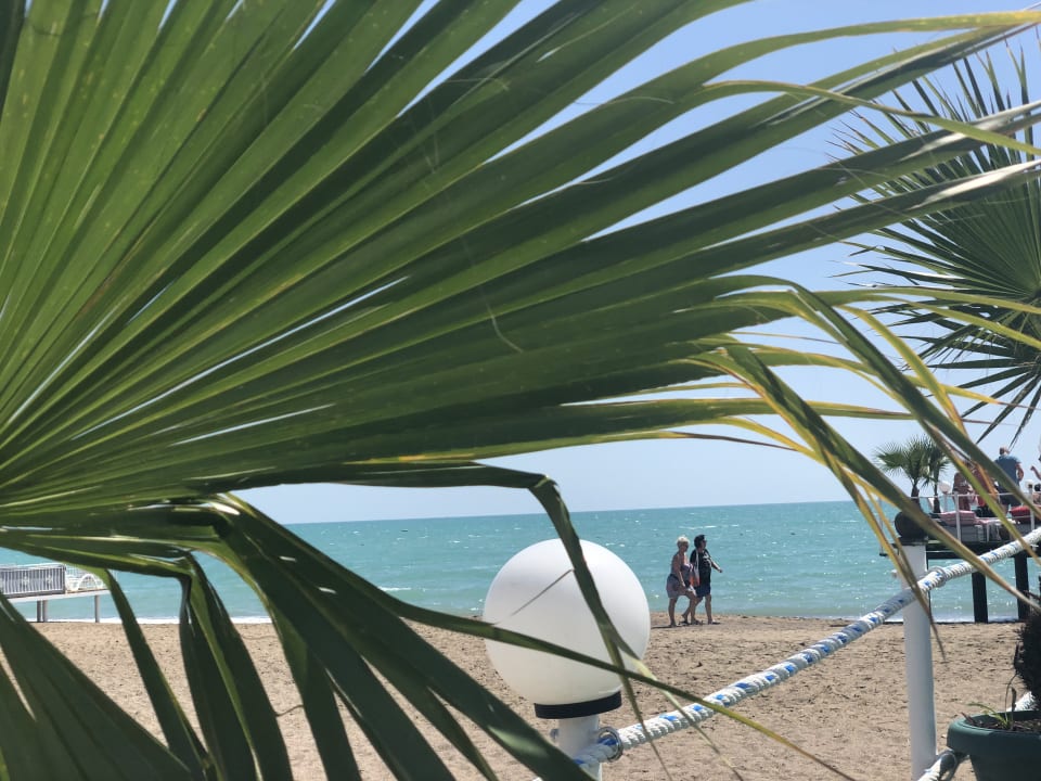 Strand Hotel Delphin Diva