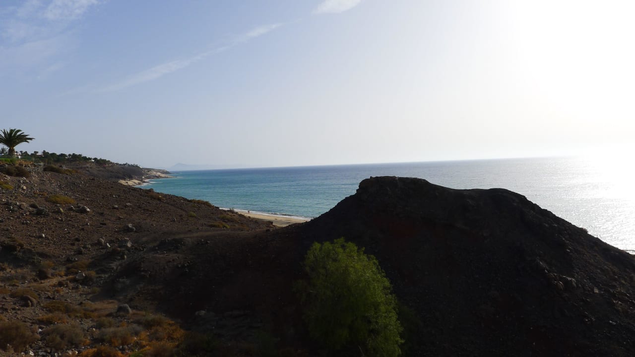 Oberhalb des Strandes allsun App.-Hotel Esquinzo Beach