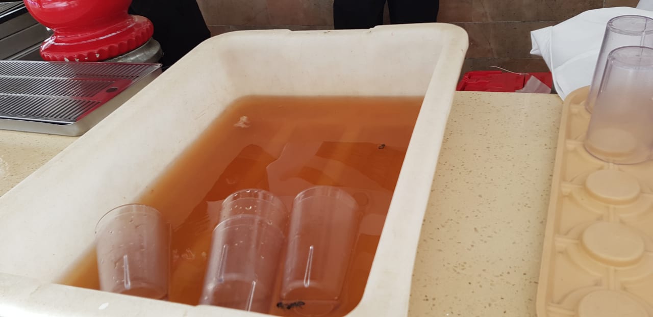 Gastro Hotel Viva Dominicus Beach by Wyndham - All Inclusive Resort