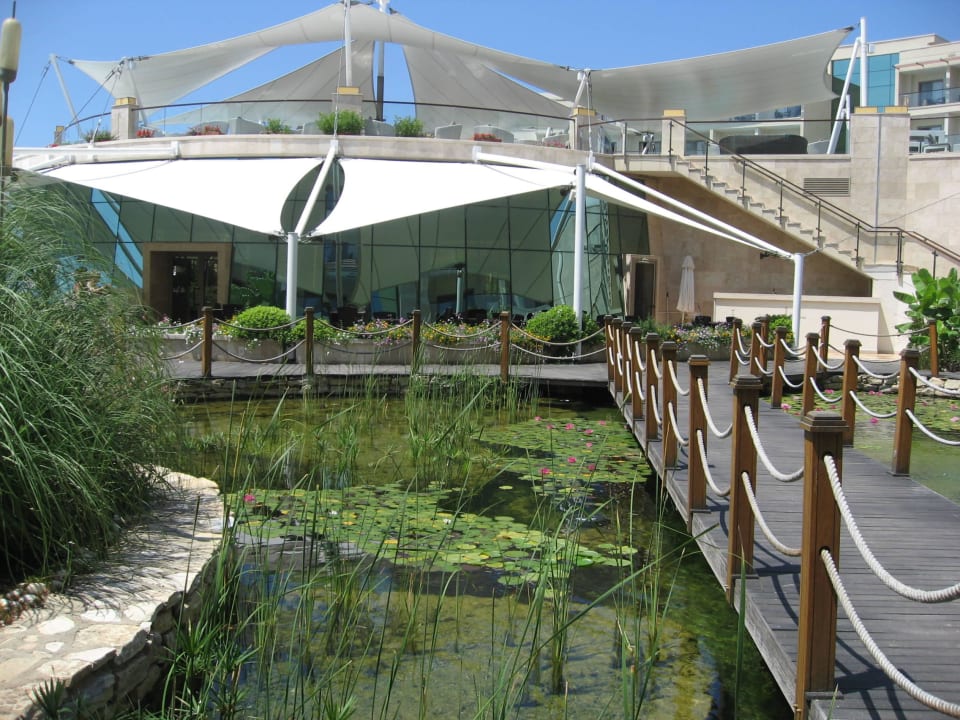 Blick auf Gartenteich, Restaurant und Terrasse Paloma Pasha