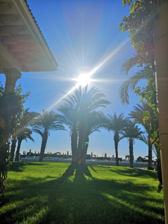 Gartenanlage Iberostar Waves Averroes