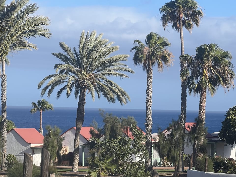 Gartenanlage Aldiana Club Fuerteventura