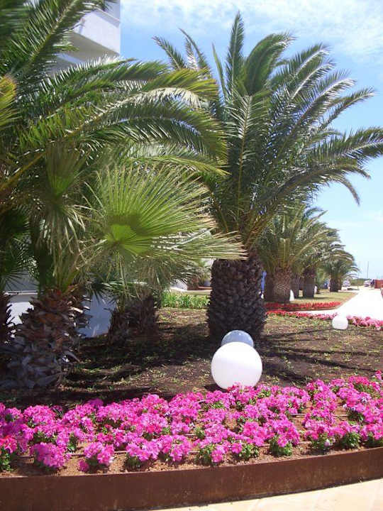 Anlage Grand Palladium Select Palace Ibiza