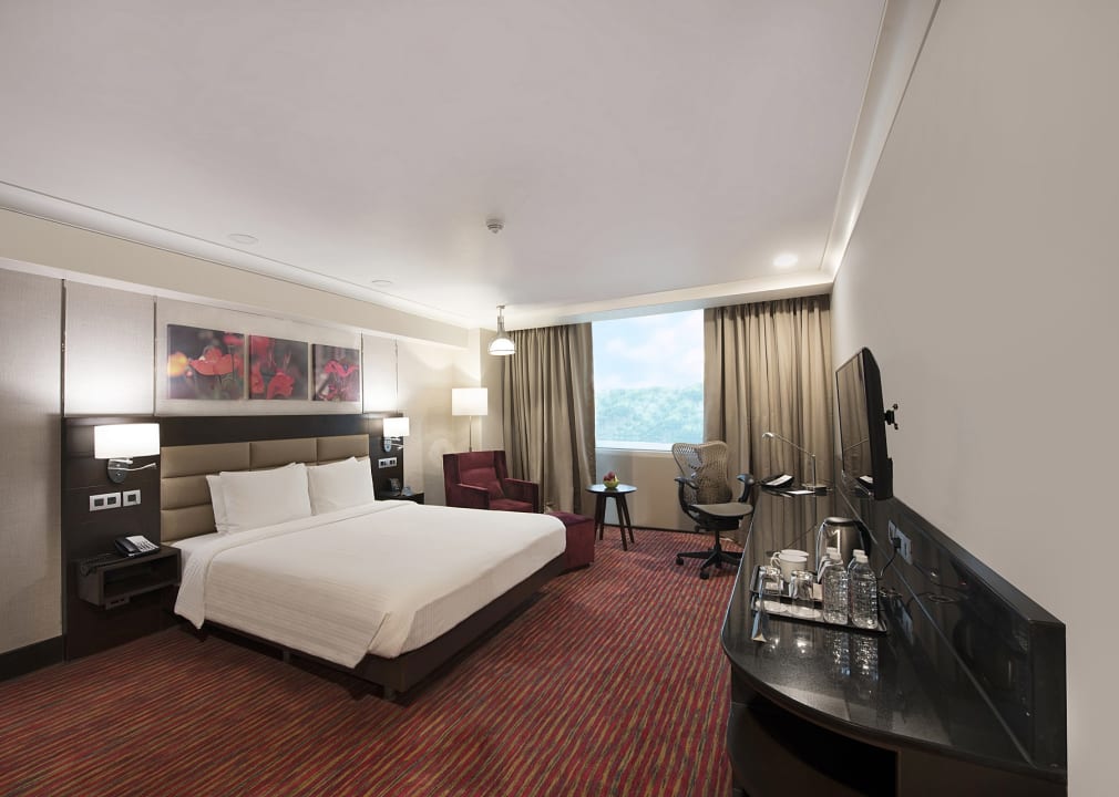 Zimmer Hilton Garden Inn New Delhi /Saket