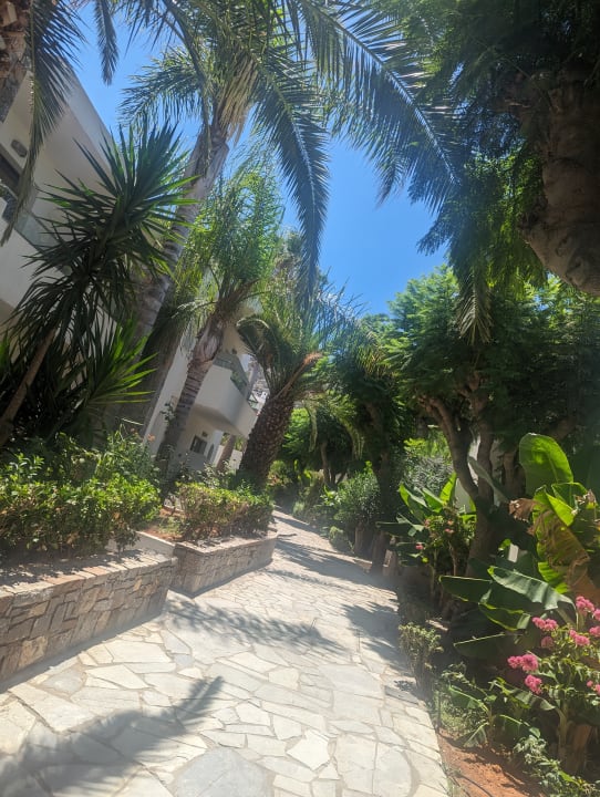 Gartenanlage Sentido Kyknos Beach Adults Only 16+