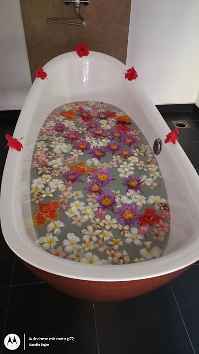 Sonstiges Aida Ayurveda Resort & Spa