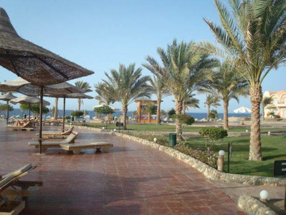 Widok z basenu Three Corners Sea Beach Resort