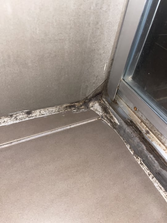 Zimmer Side Prenses Resort & Spa