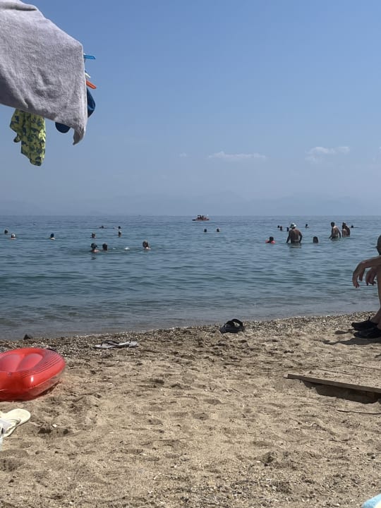 Außenansicht Hotel Albatros