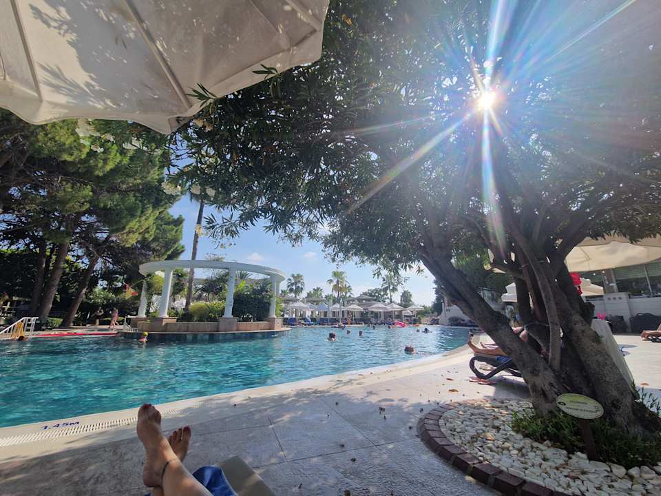Pool Hotel Oleander
